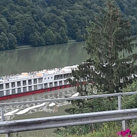 Gasthaus Zur Blauen Donau Везенуфер Экстерьер фото