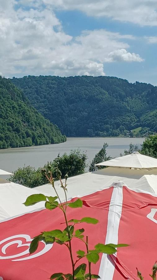 Gasthaus Zur Blauen Donau Везенуфер Экстерьер фото
